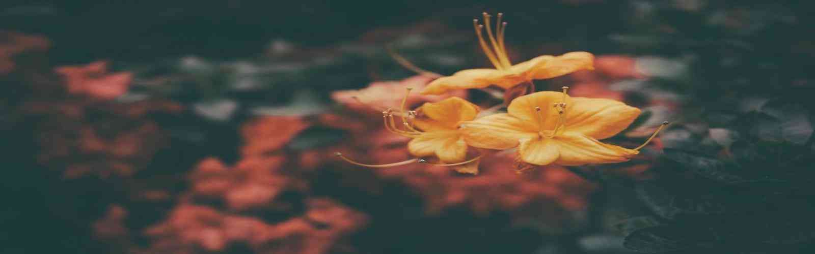 拉斯维加斯游戏